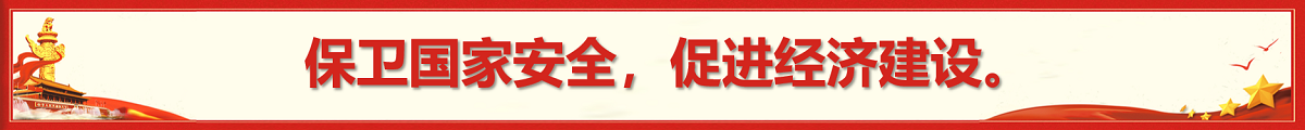国家安全2